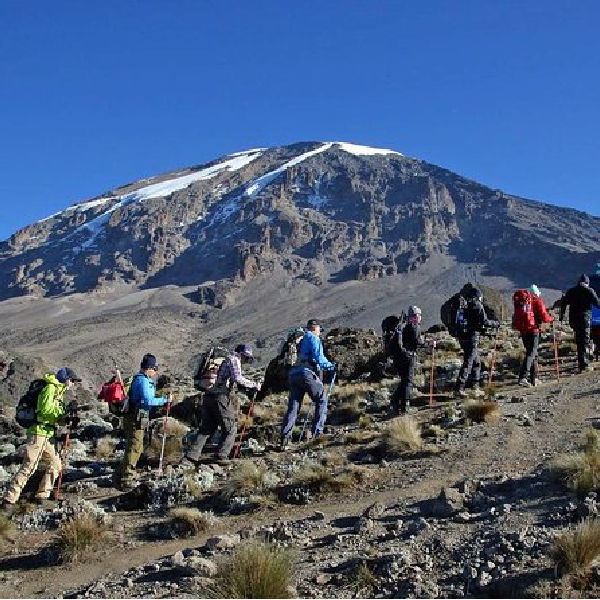 9 DAYS LEMOSHO ROUTE – KILIMANJARO TREKKING ADVENTURE